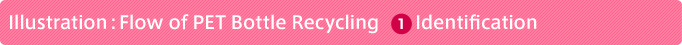 Illustration：Flow of PET Bottle Recycling 1 Identification