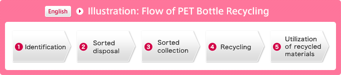 Illustration: Flow of PET Bottle Recycling