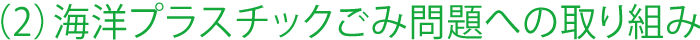 (2)海洋プラスチックごみ問題への取り組み