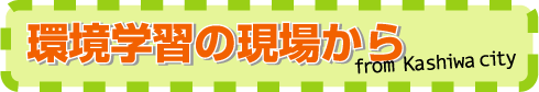 wǨꂩ from Kashiwa city